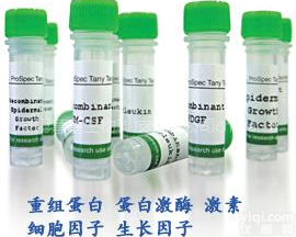 Chimeric Chagas/ 重组多种<em>抗原</em>组合<em>嵌合</em>体