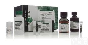 人胶原<em>吡啶</em>交联<em>实验</em>(PYD)ELISA试剂盒,96个孔elisa/48个孔eli