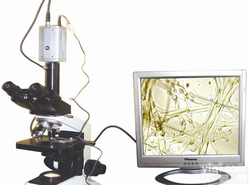 病虫害害检测分析仪 病害<em>检测仪器</em> 天创光普<em>科技</em>