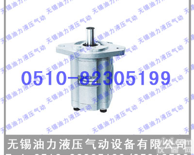 无锡油力●<em>齿轮泵</em> CBF-F412.5-<em>ALHL</em>