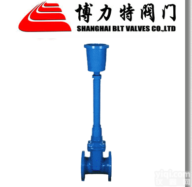 <em>直埋式软密封闸阀</em>