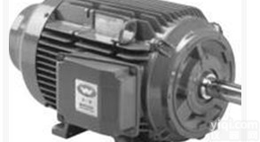 BROOK CROMPTON交流电机<em>直流电机</em>