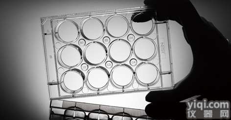 TC处理 TC未处理 12孔<em>细胞</em><em>培养</em>板，NEST<em>细胞</em><em>培养</em>板，耐思12孔<em>细胞</em><em>培养</em>板