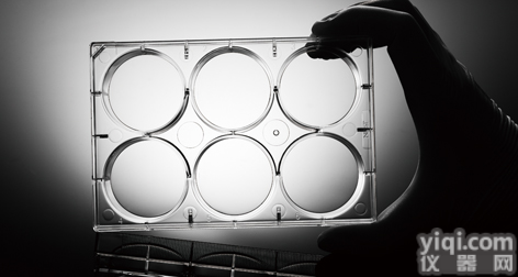 TC处理 TC未处理 6孔<em>细胞</em><em>培养</em>板，NEST<em>细胞</em><em>培养</em>板，耐思6孔<em>细胞</em><em>培养</em>板