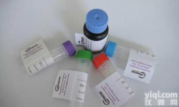 FMDV <em>Polyprotein</em> (3D <em>polymerase</em>)口蹄疫病毒