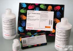 微量BCA<em>蛋白</em><em>定量分析</em>