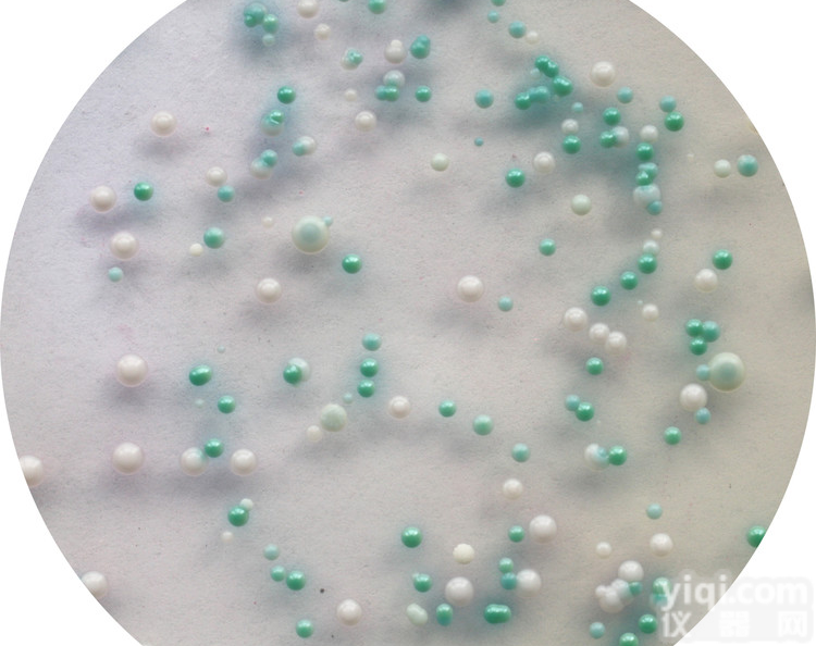 <em>仔猪</em><em>副伤寒</em>疫苗<em>培养基</em>