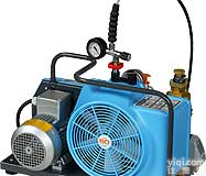 德国<em>宝华</em><em>JUNIOR</em> II 便携式高压呼吸空气压缩机空气<em>充气泵</em>填充泵填充泵