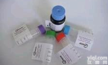 Anti-CD144抗体,上皮型钙<em>粘附</em>分子/<em>血管</em>内皮钙粘蛋白抗体 IHC WB