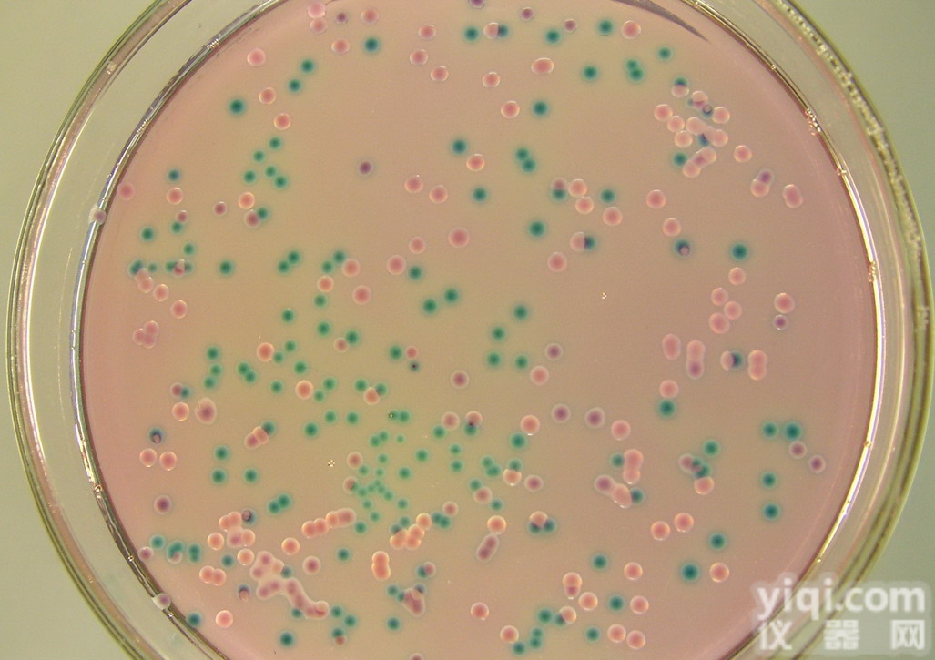 <em>醋酸铅</em><em>培养基</em><em>基础</em>