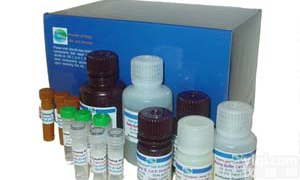 BOC-D-脯氨酸/CAS:37784-17-1/N-叔丁氧羰基-D-脯氨酸/BOC-D-Proline