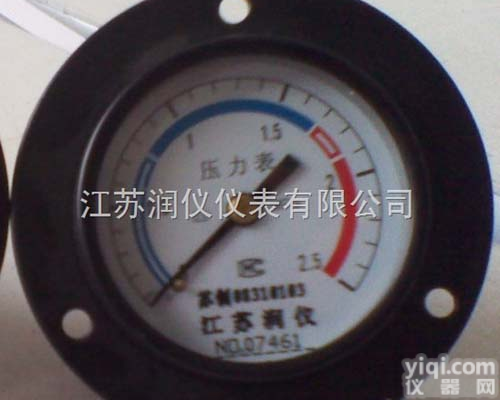 压力轴向带边表-JSRY轴向带边<em>压力表</em>厂家