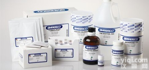 D-α-氨基氧化酶/D-<em>氨基酸</em>氧化酶/D-AAO