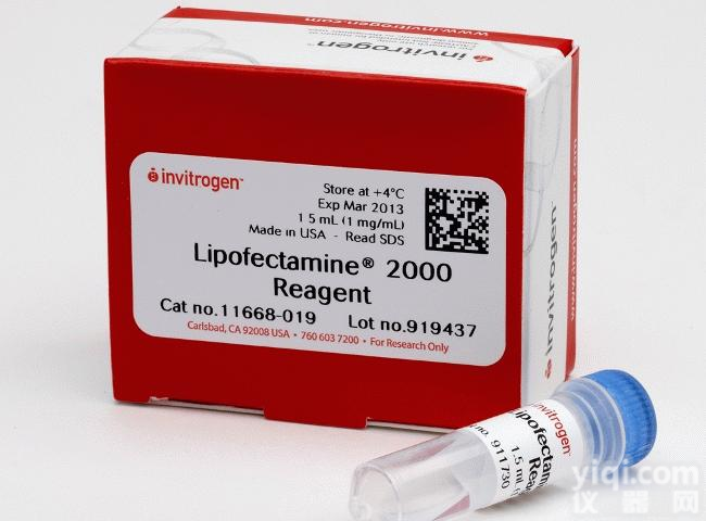 Lipofectamine 2000 Reagent