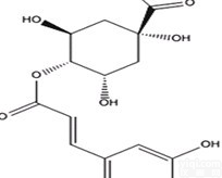 同田隐绿原酸/4-咖啡酰奎宁酸<em>标准品</em>4-Dicaffeoylquinic <em>Acid</em>中药对照品现货905-99-7