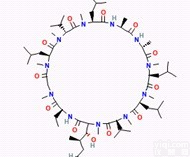 同田环孢菌素H标准品中药对照品Cyclosporin H现货<em>83602</em>-<em>39</em>-5