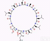 同田<em>环孢菌素C</em>标准品中药对照品Cyclosporin C现货59787-61-0