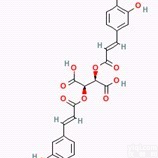 同田<em>菊苣</em>酸Cichoric acid<em>标准品</em>中药<em>对照</em>品现货70831-56-0