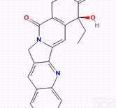 同田喜树碱Camptothecine<em>标准品</em>中药对照品<em>现货</em>7689-03-4