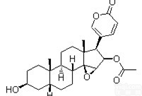 同田<em>华蟾毒</em>精Cinobufagin<em>标准品</em>中药<em>对照</em>品现货470-37-1