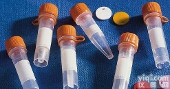 胞质紧密粘连<em>蛋白</em>1抗体（<em>闭锁</em><em>小带</em><em>蛋白</em>1）