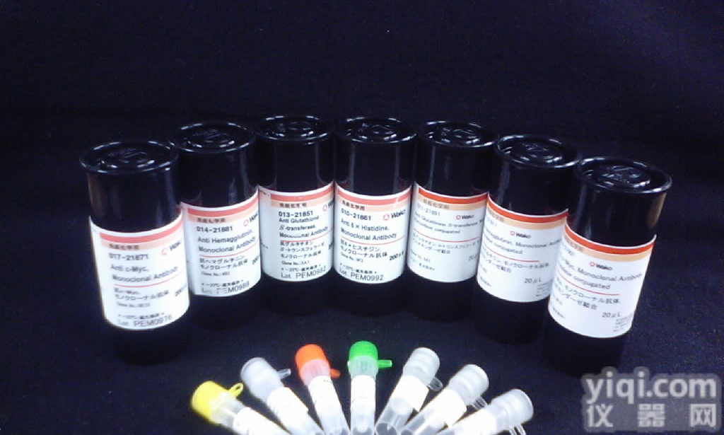 <em>髓鞘</em>少<em>树突</em>胶质细胞糖蛋白(活性<em>多肽</em>) <em>多肽</em>