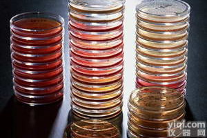 氯化钠多粘菌素 B <em>肉汤</em>（SPB）<em>基础</em>SPB 基礎