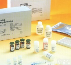 人新生<em>甲状腺素</em>(NN-T4)ELISA<em>试剂盒</em>，产品<em>价格</em>