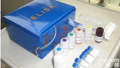 尿白<em>蛋白</em>大鼠(<em>Albumin</em>)放免试剂盒供应