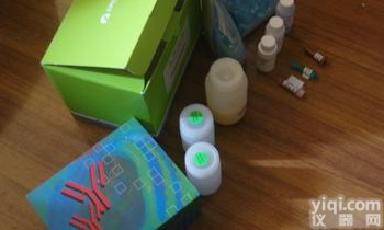 人巨噬细胞活化因子Elisa<em>试剂盒</em>，MAF<em>试剂盒</em>