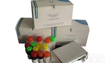 人血管<em>生成素</em><em>受体</em>Tie1Elisa<em>试剂盒</em>，ANG-R-Tie1<em>试剂盒</em>