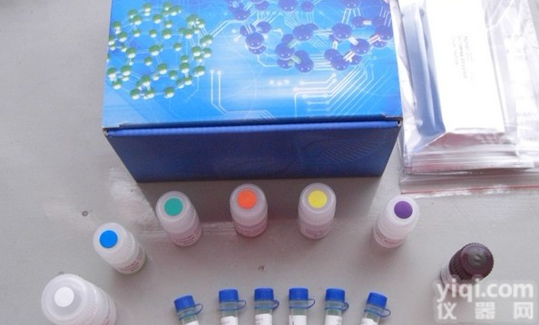 人<em>白三烯</em>D4,LTD4<em>ELISA</em><em>试剂盒</em>