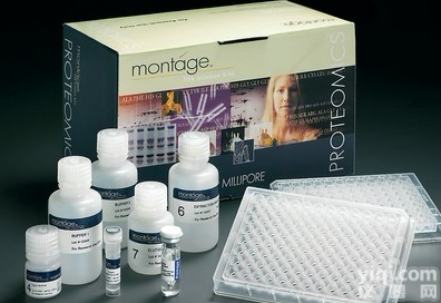 人28S抗<em>核糖体</em><em>抗体</em>,28S rRNPELISA<em>试剂盒</em>