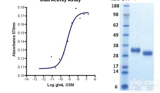 Human Cellexp Human <em>Recombinant</em> <em>Oncostatin</em> M
