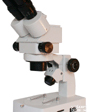 大<em>视场</em>连续<em>变倍</em><em>体视</em>显微镜