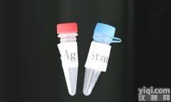 <em>子宫</em>珠蛋白<em>抗体</em>,Anti-<em>Uteroglobin</em><em>抗体</em>直销