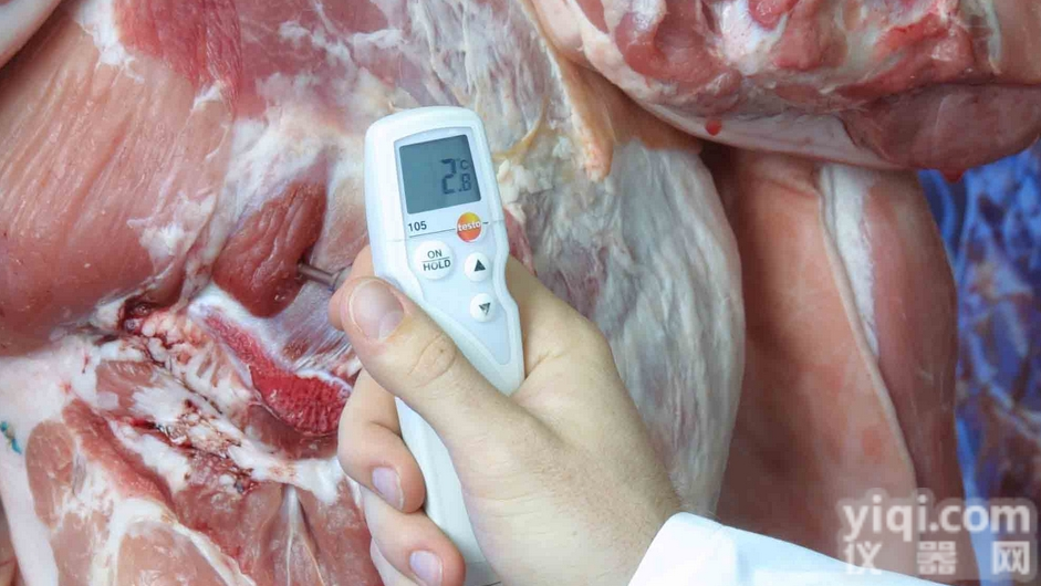 testo 105<em>冷冻食品</em>温度计，testo 105三个可更换探头