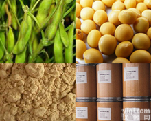 厂家现货<em>大豆</em><em>提取物</em><em>大豆</em><em>异黄酮</em>20%