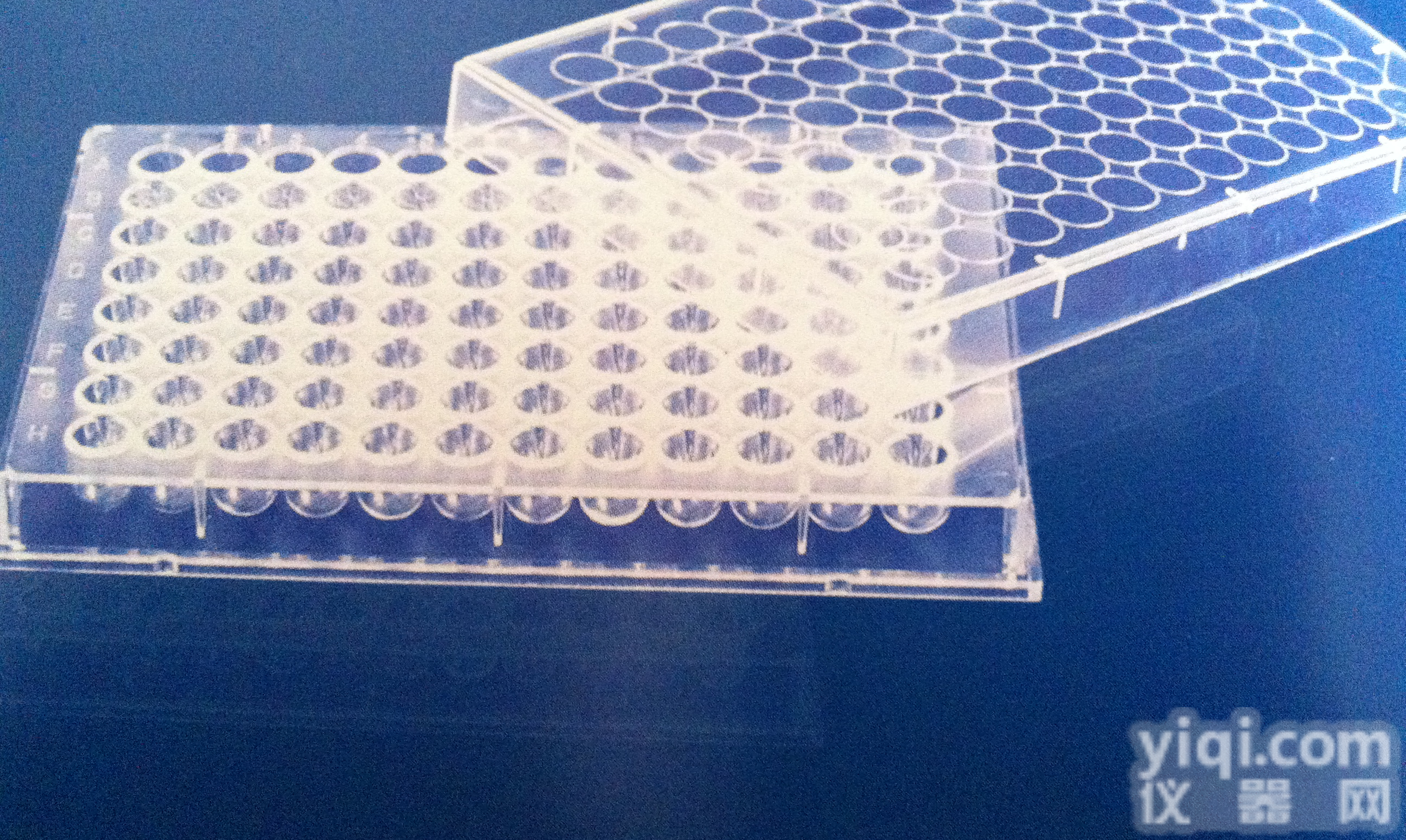 96孔（可拆）平底酶标板  96孔（可拆）平底酶标板报价及价格 实验室及<em>微生物</em>耗材 <em>上海</em>乐坦实验器材