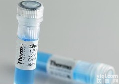 <em>肉豆蔻</em>木脂素代理,<em>肉豆蔻</em>木脂素<em>价格</em>