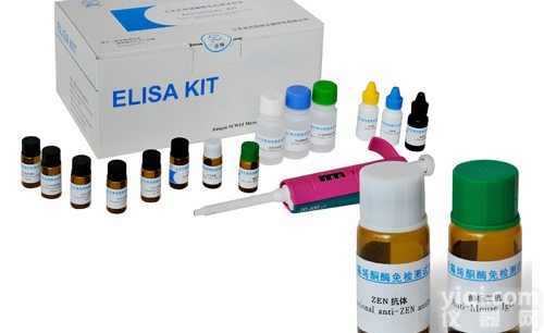 人<em>弹性</em><em>蛋白</em>(ELN)ELISA<em>试剂盒</em>，酶联免疫吸附<em>试剂盒</em>