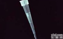 AxygenT-300 10ul<em>袋装</em><em>吸头</em>[短]，AxygenT-300 10ul<em>袋装</em><em>吸头</em>[短]进口/国产，AxygenT-300 10ul<em>袋装</em><em>吸头</em>[短]价格
