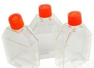 corning 431081-225cm细胞培养瓶(<em>斜颈</em>),corning 225cm细胞培养瓶(<em>斜颈</em>)现货销售