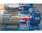 供应滑片泵叶片泵轻油泵<em>防爆</em><em>齿轮泵</em>柴油<em>防爆</em>泵安装尺寸图