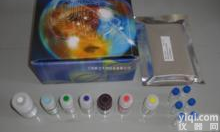 CAS:51-21-8,5-氟<em>尿嘧啶</em>,5-<em>氟脲嘧啶</em>,5-氟-2,4(1H,3H)-嘧啶二酮,5-Fluorouracil