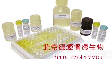 人<em>白介素</em>9 elisa<em>试剂盒</em>北京,人IL-9  elisa<em>试剂盒</em>代测