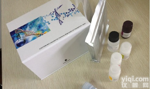 兔子α<em>干扰素</em>(IFN-α)ELISA<em>试剂盒</em>热卖,兔子α<em>干扰素</em>ELISA<em>试剂盒</em>直销