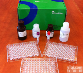 赫赛汀<em>三维</em>构象<em>试剂盒</em>折扣，赫赛汀<em>三维</em>构象<em>试剂盒</em>规格