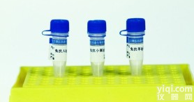 肌<em>红蛋</em>白<em>抗原</em>MB-Ag<em>抗原</em>