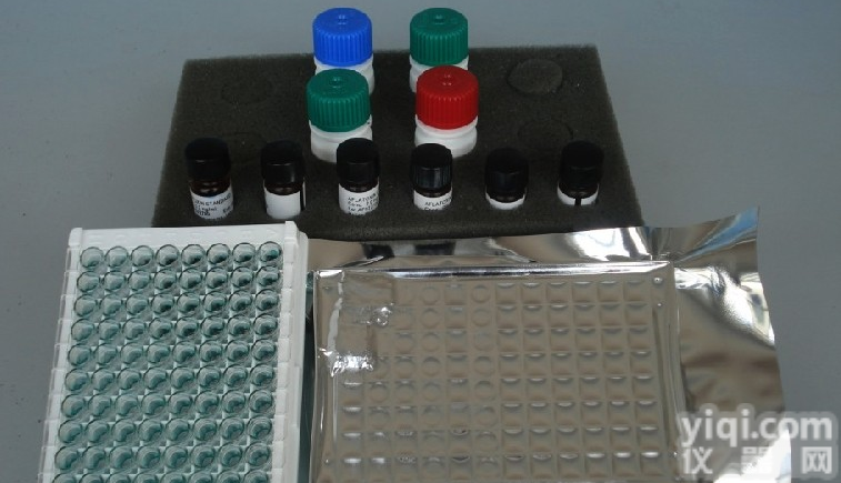 小鼠<em>颗粒</em>酶A<em>试剂盒</em>促销,<em>颗粒</em>酶A(Gzms-A)ELISA<em>试剂盒</em><em>厂家</em>